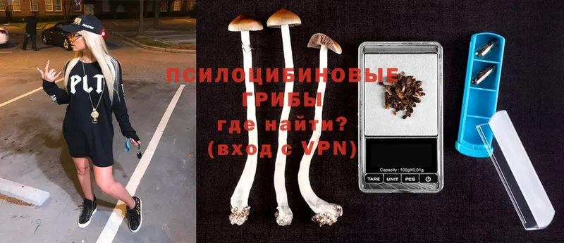 ОМГ ОМГ онион  Сосновоборск  Галлюциногенные грибы Magic Shrooms 